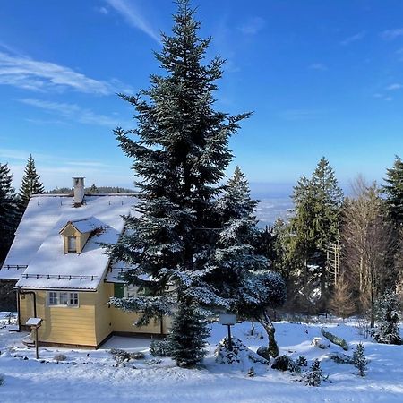 Sonnenhaeusle - Natur. Fernblick. Panorama-Sauna. ザスバッハヴァルデン エクステリア 写真