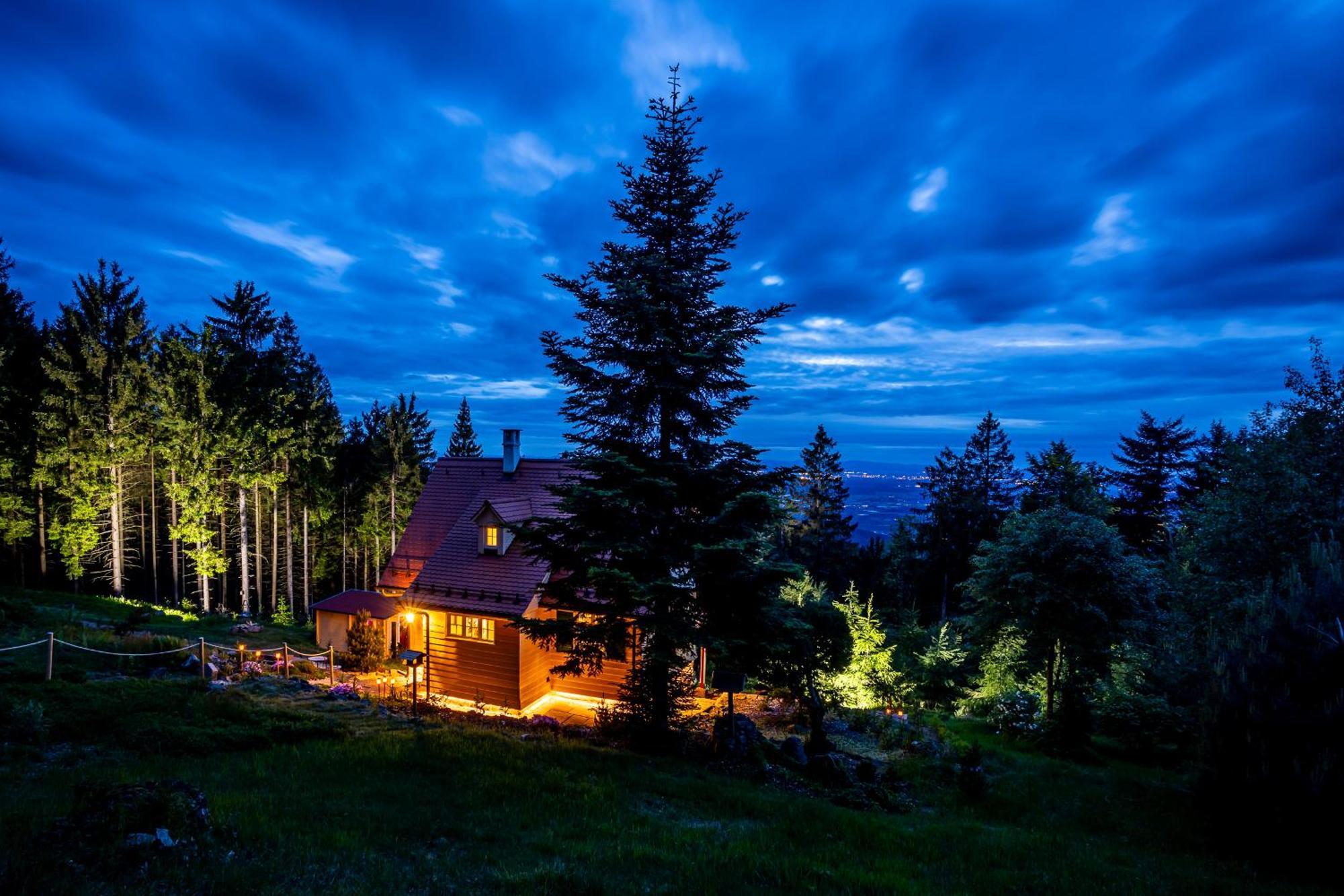Sonnenhaeusle - Natur. Fernblick. Panorama-Sauna. ザスバッハヴァルデン エクステリア 写真