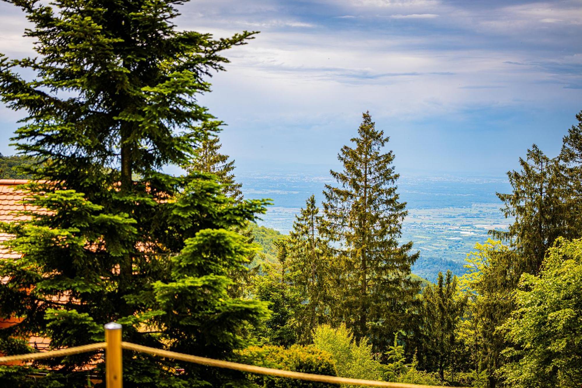 Sonnenhaeusle - Natur. Fernblick. Panorama-Sauna. ザスバッハヴァルデン エクステリア 写真