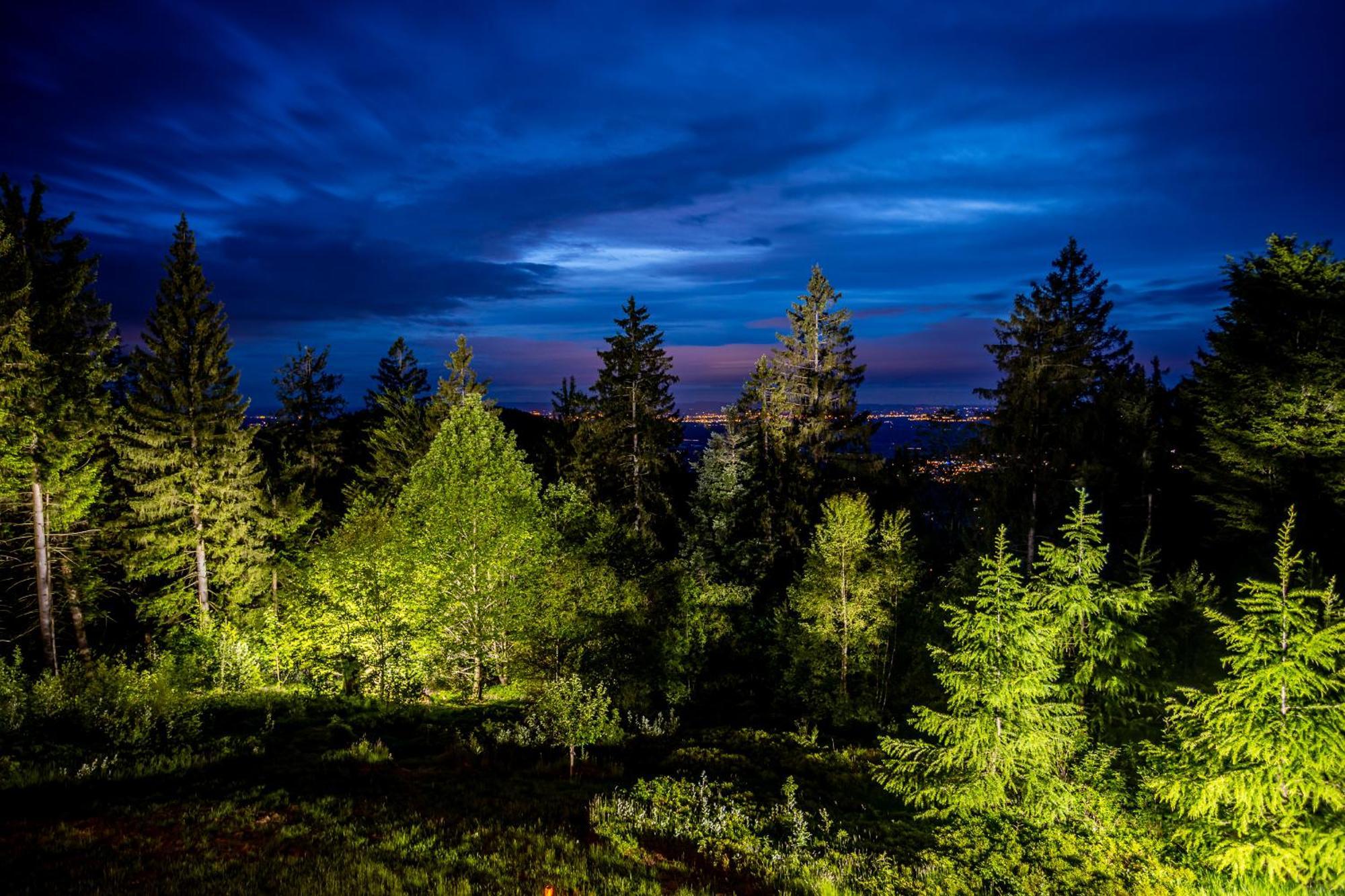 Sonnenhaeusle - Natur. Fernblick. Panorama-Sauna. ザスバッハヴァルデン エクステリア 写真