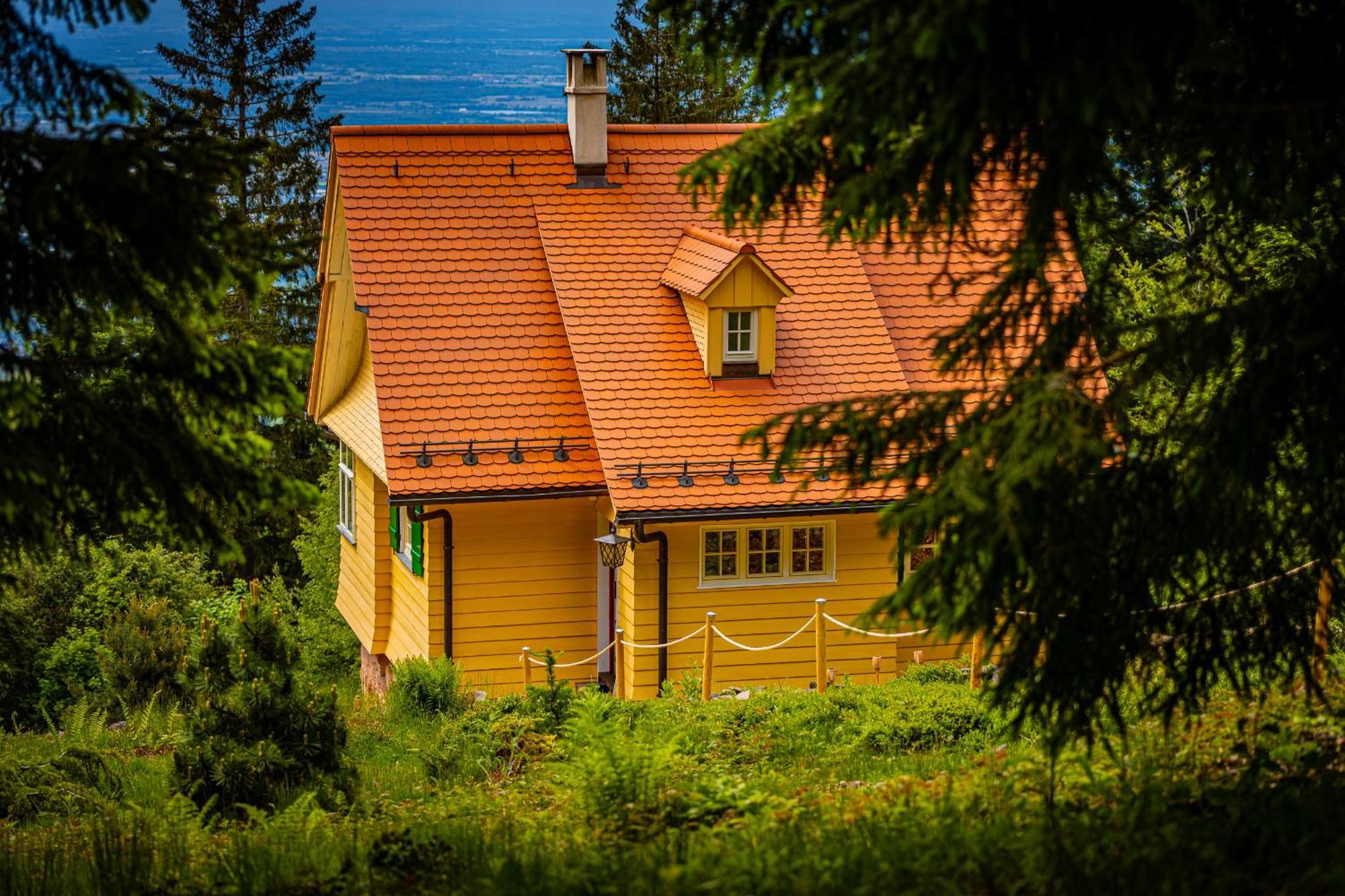 Sonnenhaeusle - Natur. Fernblick. Panorama-Sauna. ザスバッハヴァルデン エクステリア 写真
