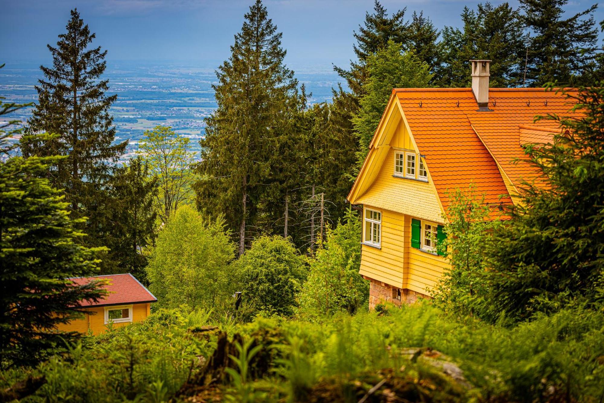 Sonnenhaeusle - Natur. Fernblick. Panorama-Sauna. ザスバッハヴァルデン エクステリア 写真