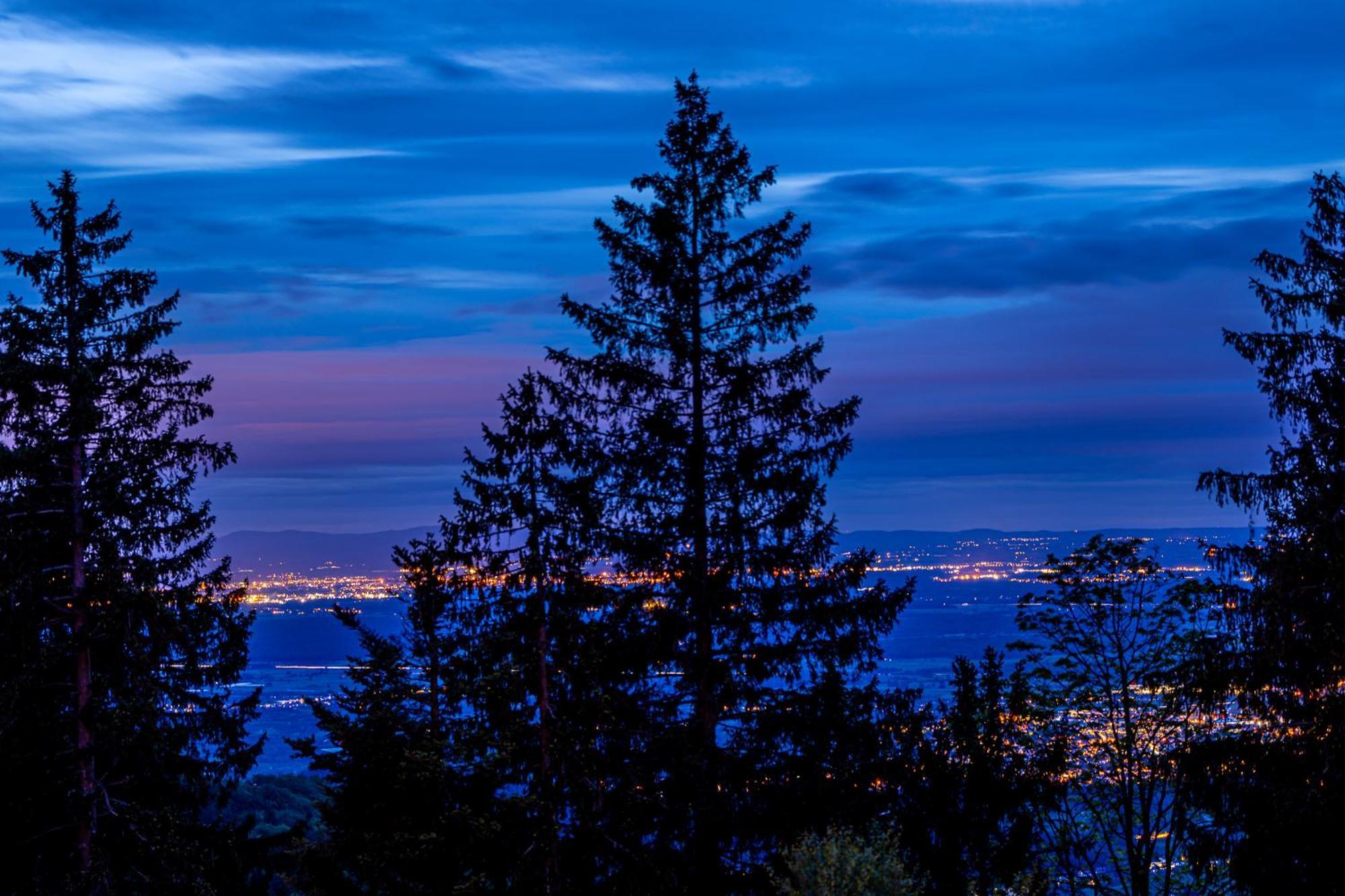 Sonnenhaeusle - Natur. Fernblick. Panorama-Sauna. ザスバッハヴァルデン エクステリア 写真