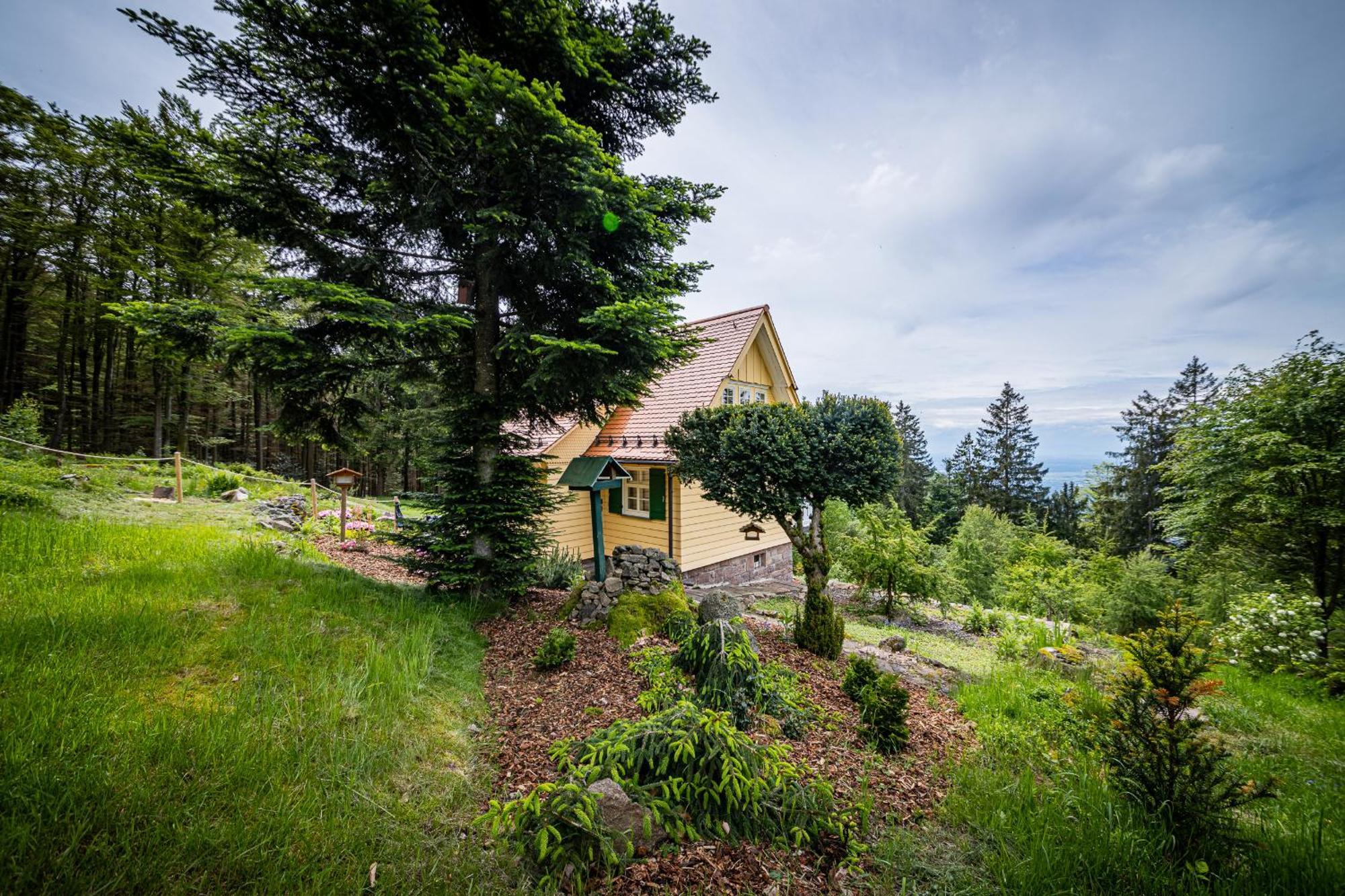 Sonnenhaeusle - Natur. Fernblick. Panorama-Sauna. ザスバッハヴァルデン エクステリア 写真