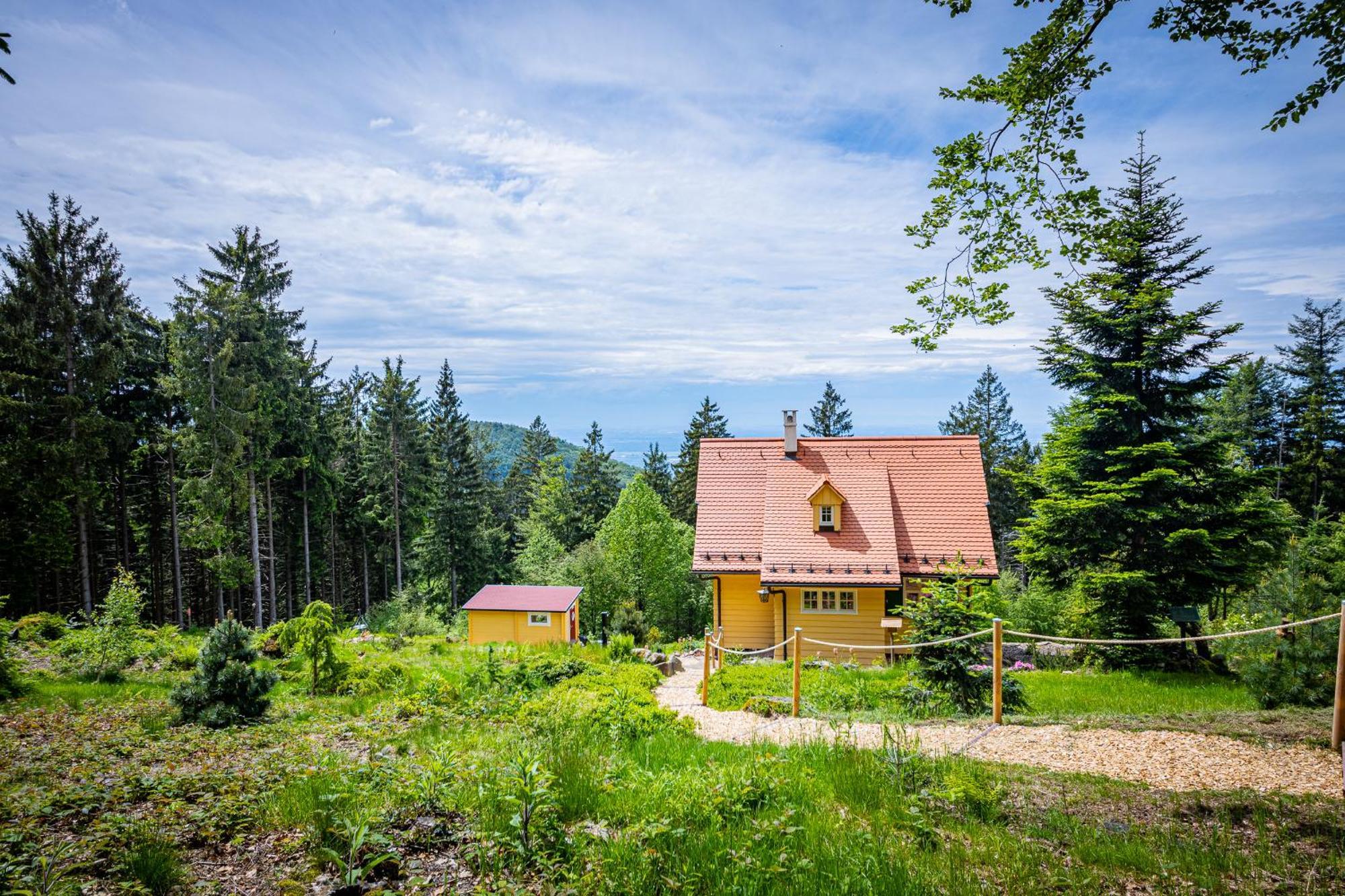 Sonnenhaeusle - Natur. Fernblick. Panorama-Sauna. ザスバッハヴァルデン エクステリア 写真