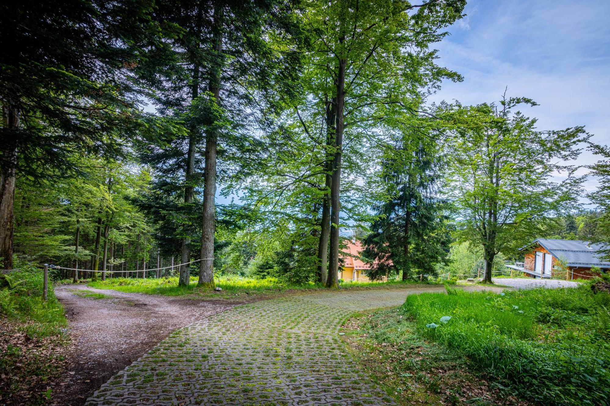 Sonnenhaeusle - Natur. Fernblick. Panorama-Sauna. ザスバッハヴァルデン エクステリア 写真