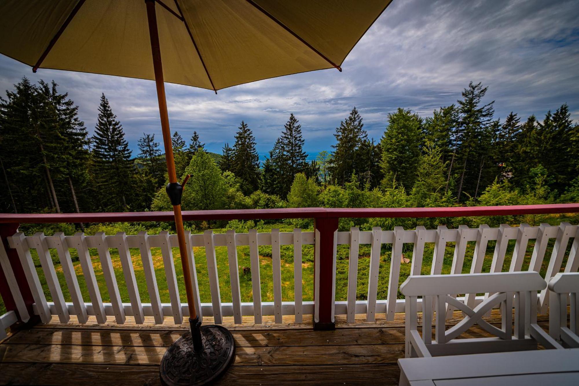 Sonnenhaeusle - Natur. Fernblick. Panorama-Sauna. ザスバッハヴァルデン エクステリア 写真