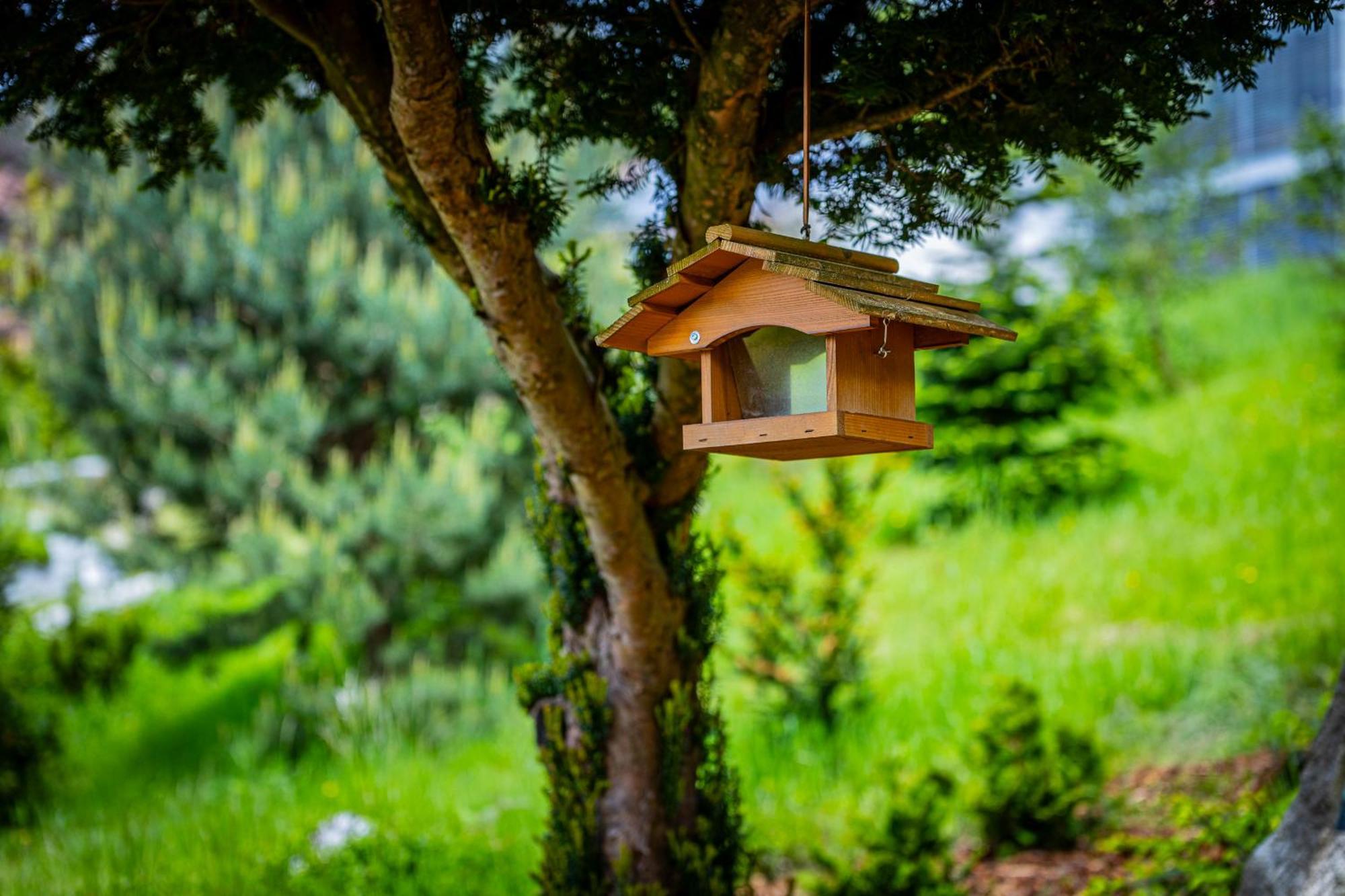 Sonnenhaeusle - Natur. Fernblick. Panorama-Sauna. ザスバッハヴァルデン エクステリア 写真