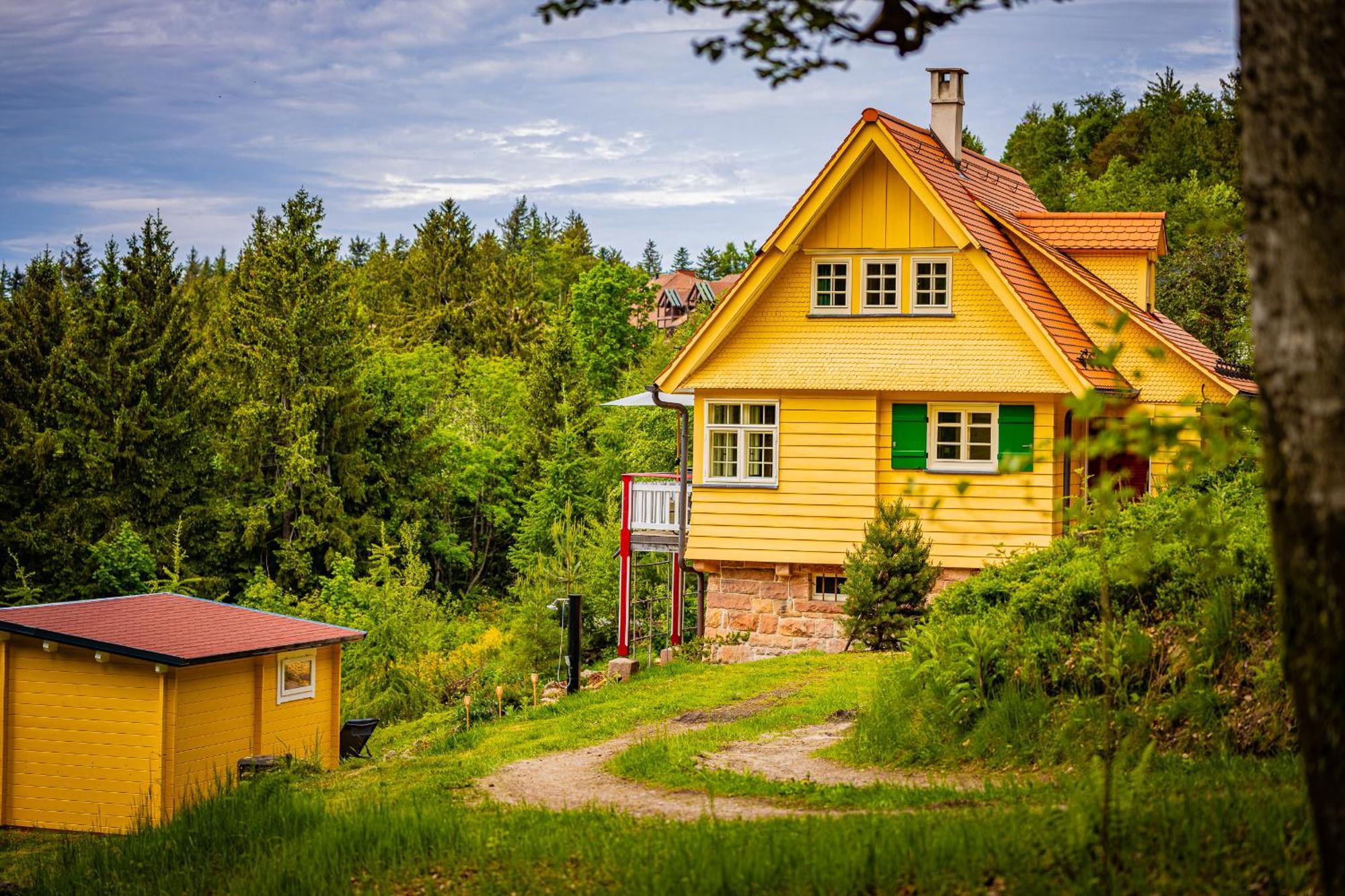 Sonnenhaeusle - Natur. Fernblick. Panorama-Sauna. ザスバッハヴァルデン エクステリア 写真