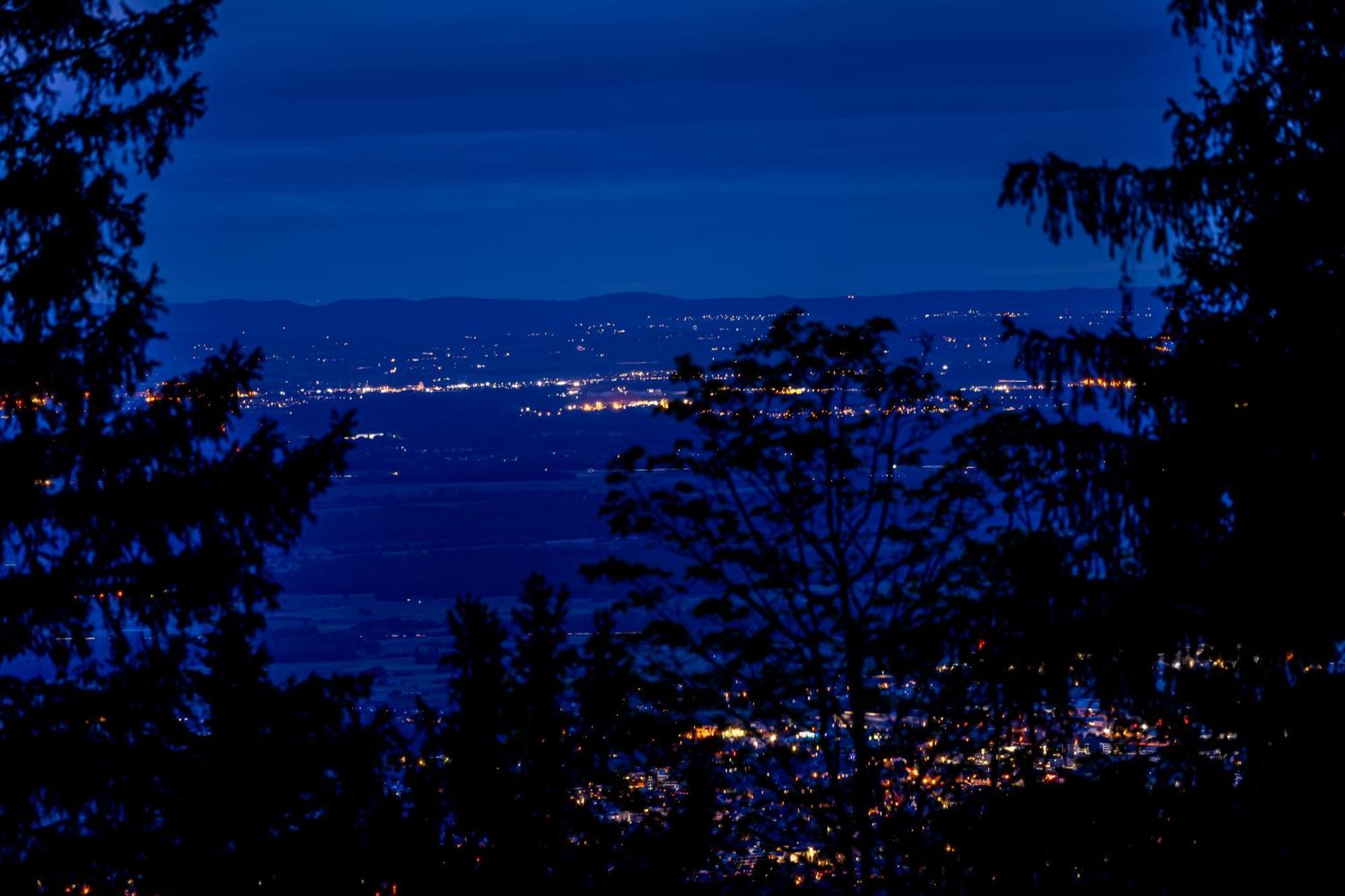 Sonnenhaeusle - Natur. Fernblick. Panorama-Sauna. ザスバッハヴァルデン エクステリア 写真