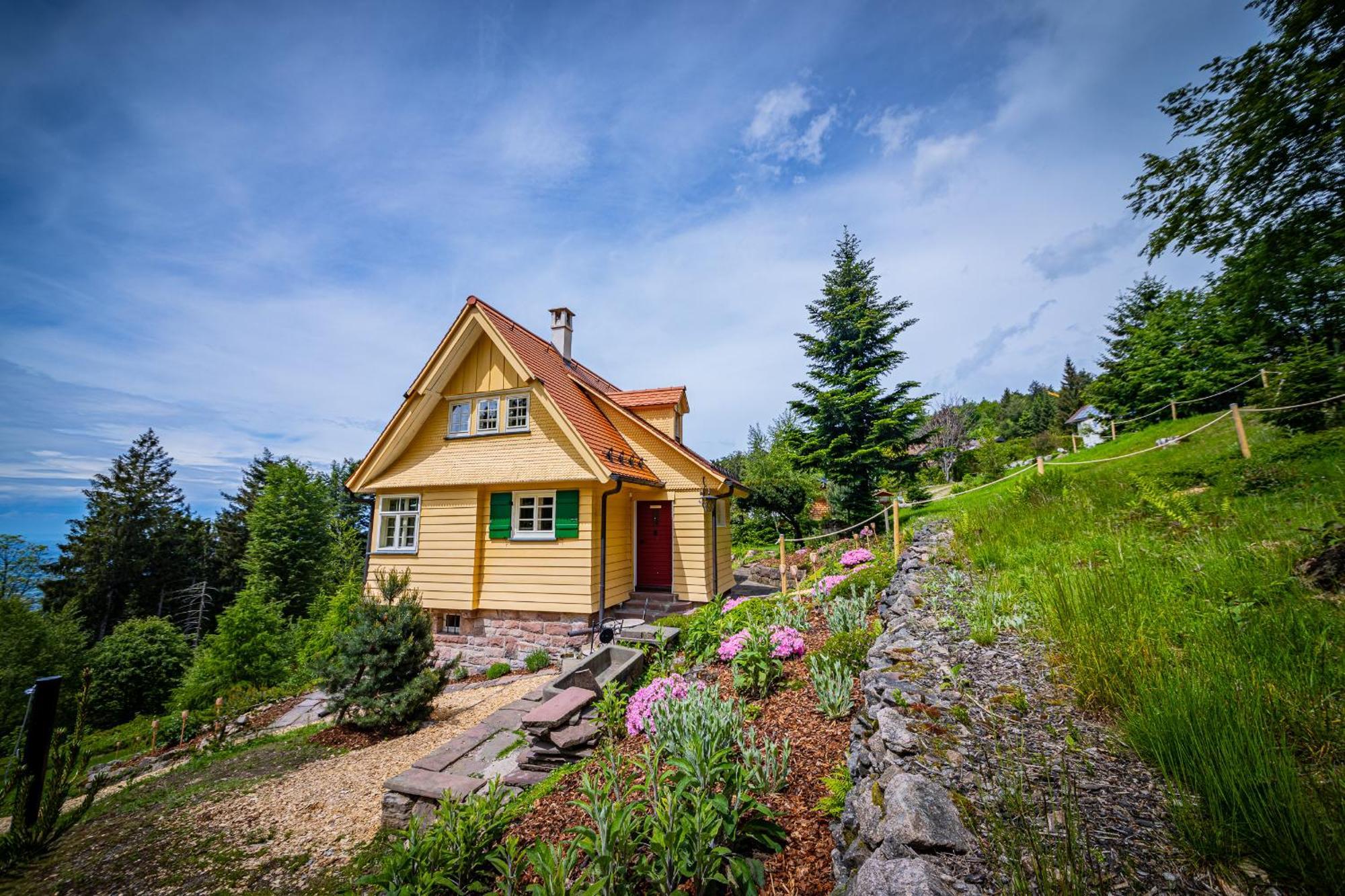 Sonnenhaeusle - Natur. Fernblick. Panorama-Sauna. ザスバッハヴァルデン エクステリア 写真