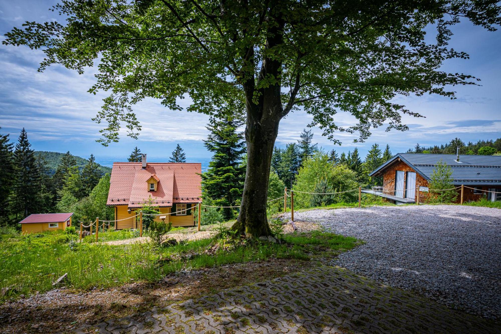 Sonnenhaeusle - Natur. Fernblick. Panorama-Sauna. ザスバッハヴァルデン エクステリア 写真