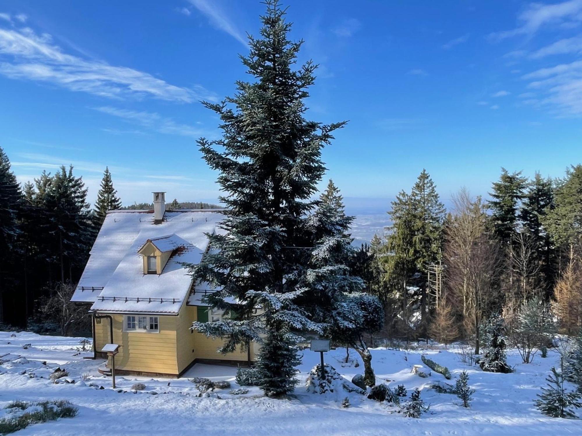 Sonnenhaeusle - Natur. Fernblick. Panorama-Sauna. ザスバッハヴァルデン エクステリア 写真