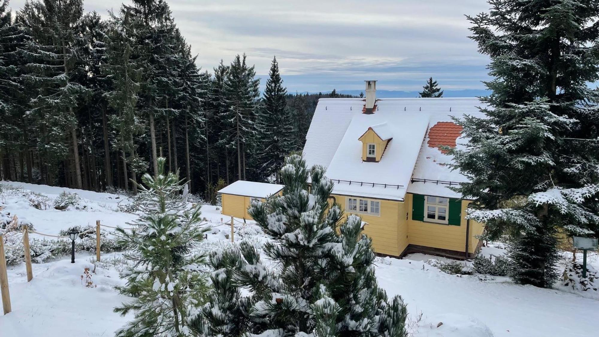 Sonnenhaeusle - Natur. Fernblick. Panorama-Sauna. ザスバッハヴァルデン エクステリア 写真